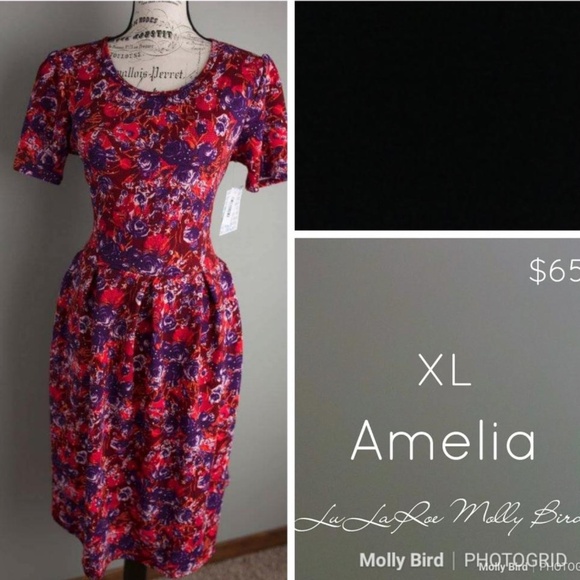 LLR Amelia XL - Picture 1 of 1